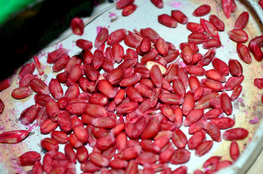 Similar image 22523050