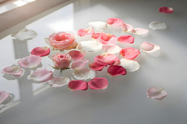 Similar image 22528909