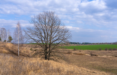 Similar image 22591528