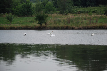 Similar image 22536275