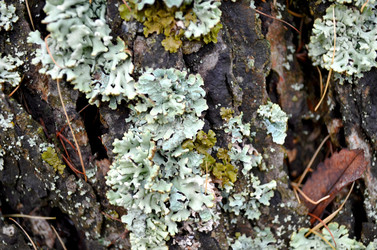 Similar image 22523051