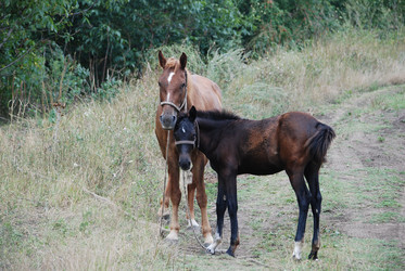 Similar image 22536276