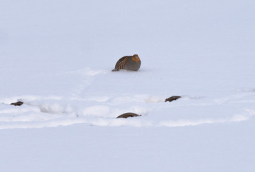 Similar image 22591529