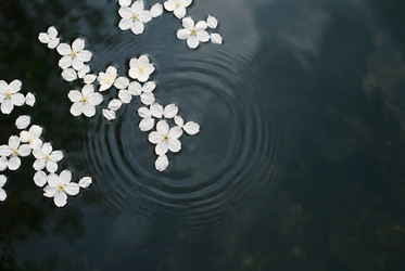 Similar image 22528911