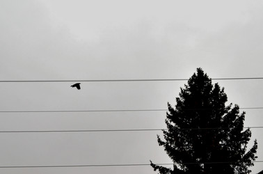 Similar image 22523053