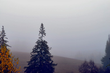 Similar image 22523054