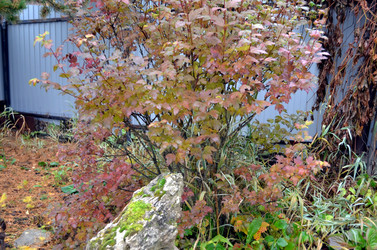 Similar image 22523068