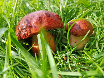 Similar image 22527607