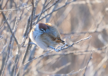 Similar image 22591531