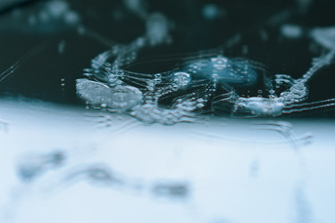 Similar image 22520665