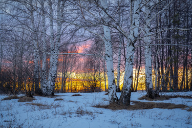 Similar image 22591532