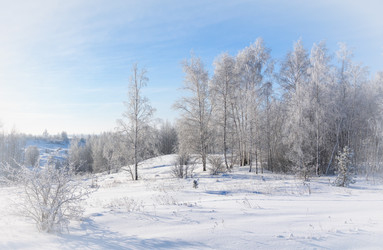 Similar image 22591533