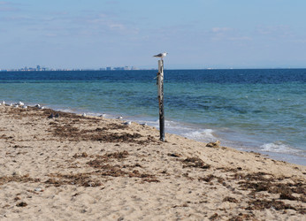 Similar image 22525970