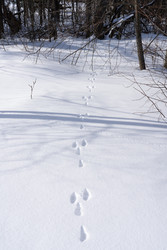 Similar image 22591548