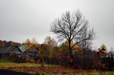 Similar image 22523069