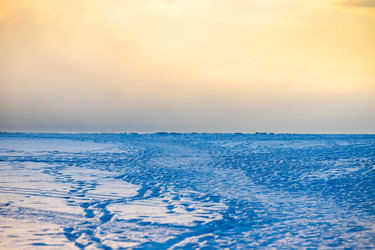 Similar image 22529589