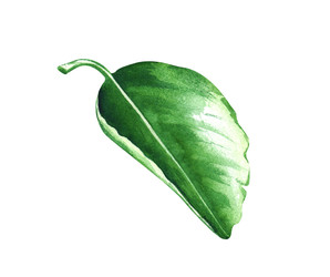 Similar image 22583002