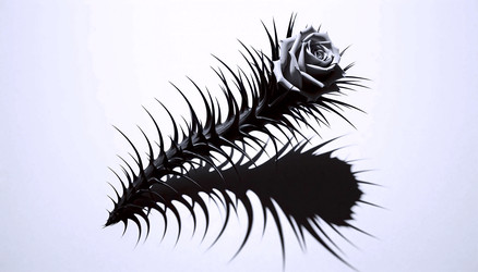 Similar image 22550521