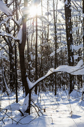 Similar image 22529914