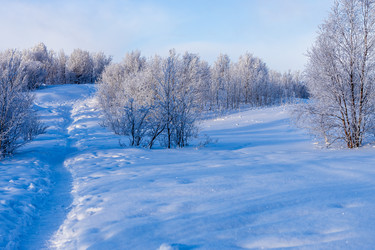 Similar image 22523402