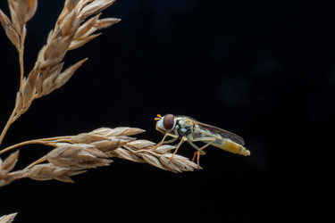 Similar image 22577566