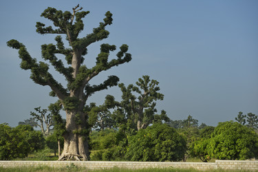 Similar image 22560006