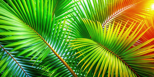 Similar image 22538214