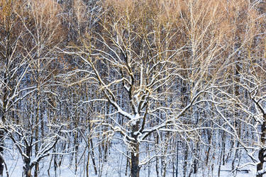 Similar image 22529635