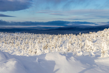 Similar image 22529754