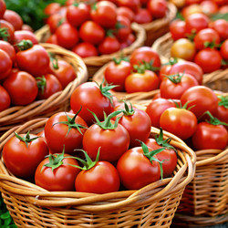 Similar image 22538528