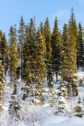 Similar image 22523385