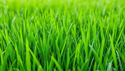 Similar image 22538712