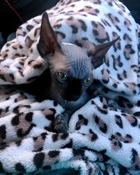 Similar image 22520677