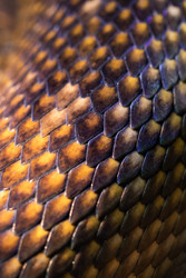 Similar image 22561996