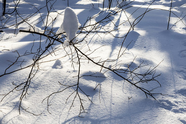 Similar image 22529193