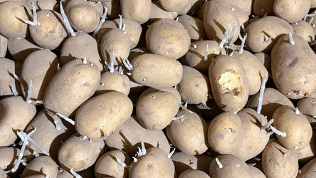 Similar image 22585336