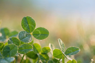 Similar image 22520706