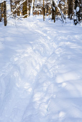 Similar image 22529321