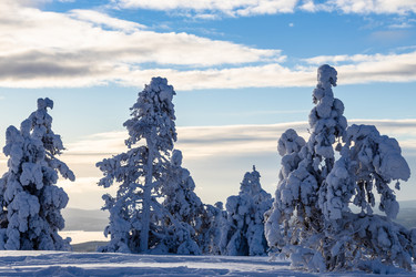 Similar image 22529410