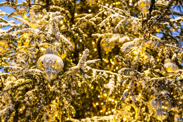 Similar image 22529544