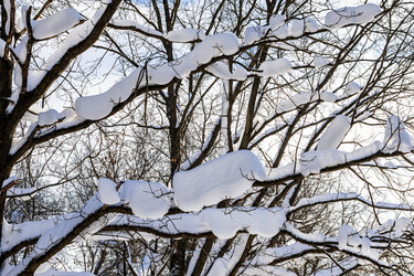 Similar image 22529591