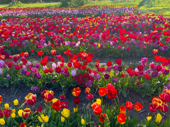 Similar image 22587774