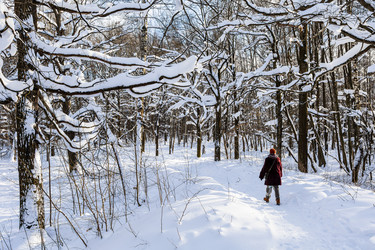 Similar image 22529660