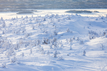 Similar image 22529710