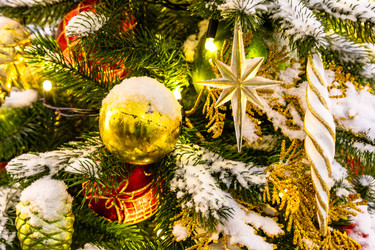 Similar image 22529755