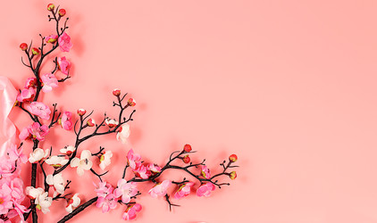 Similar image 22527929