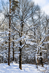 Similar image 22523388