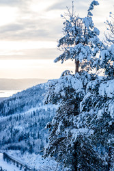 Similar image 22523390