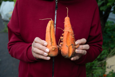 Similar image 22523018