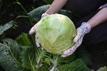 Similar image 22523019